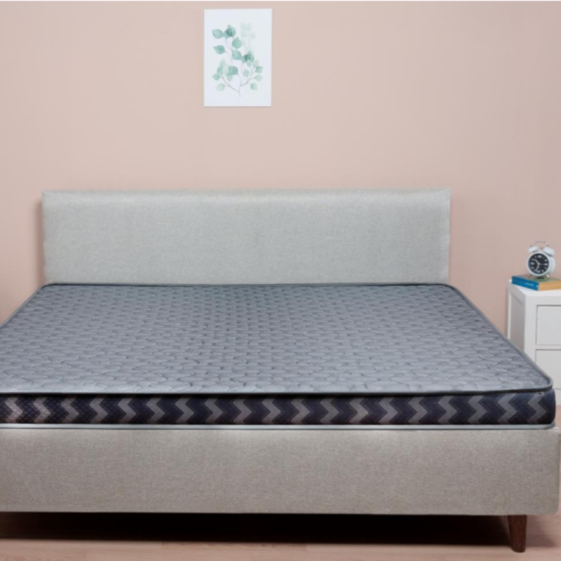 sleepwell back smart plus mattress